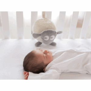 ewan-the-dream-sheep01