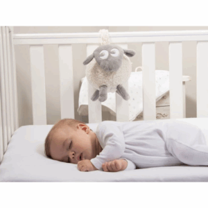 ewan-the-dream-sheep02